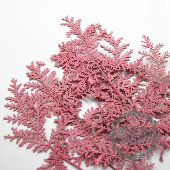 Malé balíky reálne suché stlačené kvet ružový list plavidlá pre DIY sklenenou kupolou živice náplň 1503097
