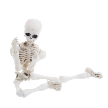Hnuteľný Pán Kosti Kostry Ľudského Model Lebky Celého Tela Mini Obrázok Hračky Halloween