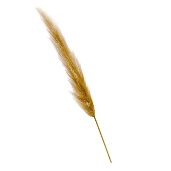 40# Pšenica Prírodné Sušené Kvety Pšenice Pre Domáce Dekorácie Kvet Usporiadanie Lagurus Ovatus Reálne Sušené Kvety Pšeničnej Trávy