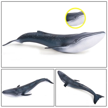 Sea Life Modrá Veľryba Hračky Simulácie Zvieracích Model Akčná Hračka Údaje Klasické Hračky Animal Model Kolekcie