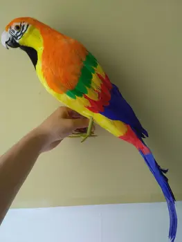Simulácia vták veľké 65 cm papagáj model,pena&perie farebné papagáj remeselné,strana prop,domov, záhradné dekorácie,darčekové d1209