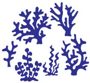 6pcs Coral vody trávnatých Zomrie Šablón pre DIY Scrapbooking/foto album Dekoratívne Razba DIY Papiera Kariet