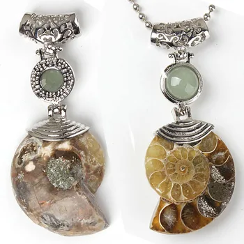 XSM Prírodného Kameňa Ammonite Reliquiae Prívesok pre Ženy, Mužov Náhrdelník Výročie Darčeky Skamenelín Seashell Conch Zvierat Šperky