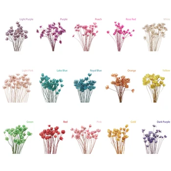 30pcs Mini Daisy Malé Hviezdy, Kvety, Kytice Prírodné Rastliny Zachovať Kvetinový Svadobné Dekoratívne Sušené Kvety