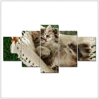 HD 5 Kusov Pet Mačka Zvierat, Obrázky, Plagáty, Nástenné Art Domova pre Obývacia Izba Maľovanie na Stenu, Mačky, Pet Obrázky Wall Art