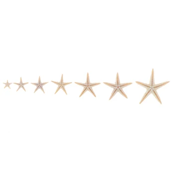 100ks mušľami Veľkosť:0.5-3 cm Mini Hviezdice Plavidlá, Dekorácie Prírodnej Morskej Hviezdy DIY Pláži Chata Svadobné Dekor Remesiel NOVÉ 2021