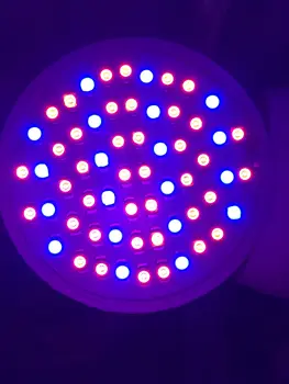 3 Hlavu LED Rastlín Svetlo Vnútorné Skleníkových EU/US Rastu Pre phyto lampa Cultivo Growbox stan Plug phytolamp Hydroponics