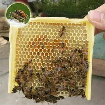 Včelárstvo Úli Úľa Poľa Úrodu Kráľovná Opeľovanie chove včiel Pre Včelárstvo párenie box Kráľovná Rezervný Včelárskych Nástroj
