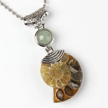 XSM Prírodného Kameňa Ammonite Reliquiae Prívesok pre Ženy, Mužov Náhrdelník Výročie Darčeky Skamenelín Seashell Conch Zvierat Šperky