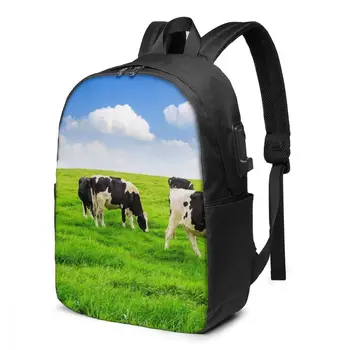Kravy Na Zelenej lúke A Modré Nebo Ženy Muži Batoh USB Nabíjanie Školské tašky Pre Dievča, Chlapca Cestovný Notebook Bookbag Daypack