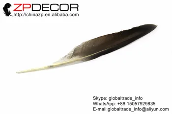 ZPDECOR 20-25 cm 100pieces/veľa Tip-Top Kvalita Prírodných Sivá Kačica Ukazovateľ Krídla, Perie Pre Umenie Dizajn