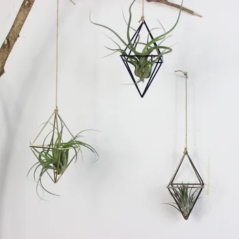 Voľne Visí Sadenie Geometrické Swing Kovaného Železa Tillandsia Vzduchu Rastliny Držiak Trojuholníkový Tvarované Kovové Regálové