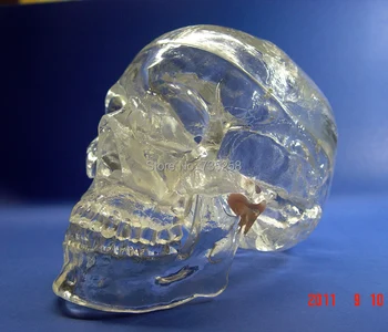 Transparentné 1:1 Simulačný Model Lebky,Model Ľudskej Lebky,Simulačný Model Crystal Skull