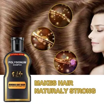 Vlasy Šampón, Čierna Farba, Anti Šedivé Vlasy Liečba Biela Odstránenie Natural Herbal Hair Shampoo Polygonum Multiflorum Zázvor 30ml