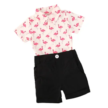 2020 Batoľa Chlapec Oblečenie 2ks Novonarodené Deti Baby Chlapci Letné Topy T-shirt Flamingo Tropické listy Nohavice Šortky Oblečenie Oblečenie
