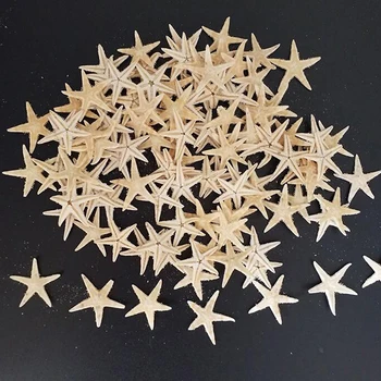 100ks mušľami Veľkosť:0.5-3 cm Mini Hviezdice Plavidlá, Dekorácie Prírodnej Morskej Hviezdy DIY Pláži Chata Svadobné Dekor Remesiel NOVÉ 2021