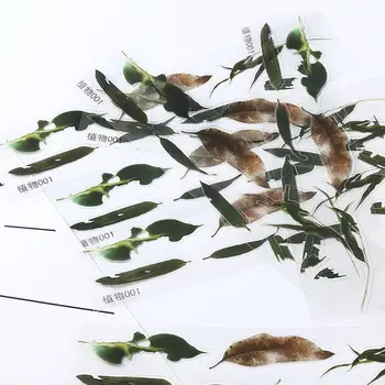 16 Ks/set DIY Crystal Epoxidový Tmel 3D Živice Maľované Rybka Leaf Duckweed Náplň Remesiel, Takže Materiál Nálepky