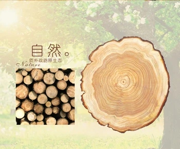 Natural Antique Wood Tree Annual Ring Round Environmental Carpet For Living Room Bedroom Study Room Tapis Non-slip Chair Mat Rug