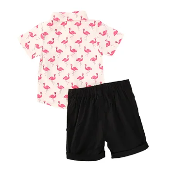 2020 Batoľa Chlapec Oblečenie 2ks Novonarodené Deti Baby Chlapci Letné Topy T-shirt Flamingo Tropické listy Nohavice Šortky Oblečenie Oblečenie