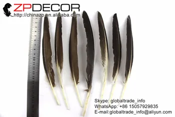 ZPDECOR 20-25 cm 100pieces/veľa Tip-Top Kvalita Prírodných Sivá Kačica Ukazovateľ Krídla, Perie Pre Umenie Dizajn