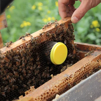 2 ks/taška Bee Kráľovná Klietky Oceľové Ihly Typ Ochranný Kryt Značky Klietky Catcher chove včiel, Nástroje, Zariadenia, Včelár Dodávky
