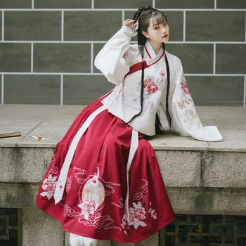 Výšivky Golier Čínsky Štýl Lady Hanfu Tradičné Dlhé Výkon Oblečenie Červené Šaty Tlač Kvet Kríž Krku Tang Oblek
